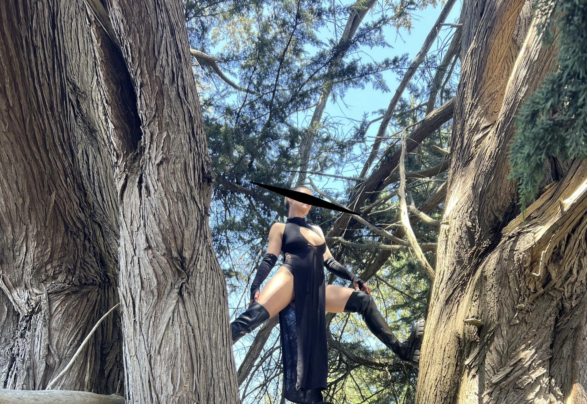 San Francisco Dominatrix in black attire and knee-high boots, sitting on a tree branch, looking upward against a clear blue sky.